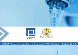 CORAP (Consorzio Regionale per lo Sviluppo delle Attività Produttive - Regione Calabria)