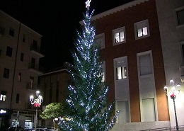 L'albero di Natale della Città