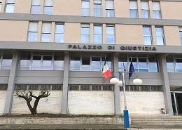 L'ulivo del Palazzo di Giustizia