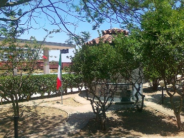 Il giardino nella stazione ferroviaria di Crotone