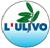 Foto dello stemma del partito ulivo