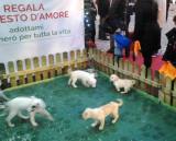 Regala un gesto d'amore