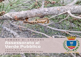 Assessorato al Verde Pubblico