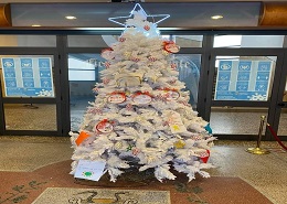 L'albero nella Casa Comunale