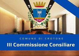 III Commissione Consiliare