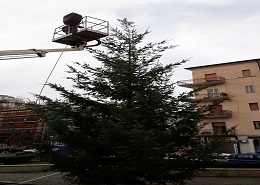 L'albero di Natale della Città