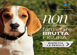 Non farmi fare brutta figura