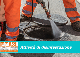 Attività di disinfestazione