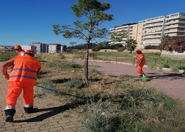 Un momento delle attività in corso