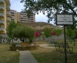 Il giardino Falcone - Borsellino