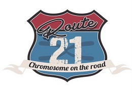  Route21 Chromosome on the Road