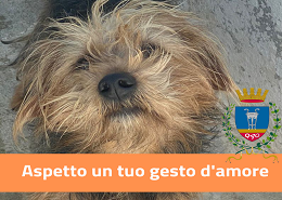  "Aspetto un tuo gesto d'amore"