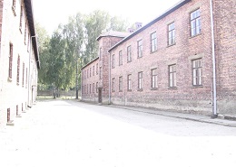 (Campo di concentramento di Auschwitz - foto Rocco De Vona)