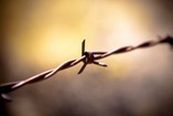 Giornata della memoria