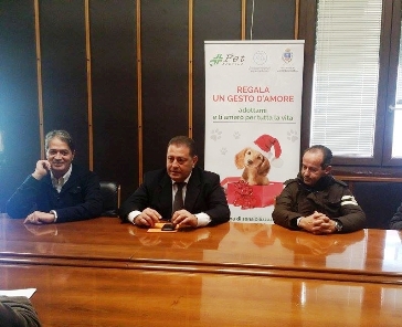 Un momento della conferenza stampa