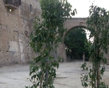 Largo Lavatoio Castello Carlo V