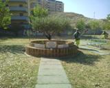 Giardino Falcone - Borsellino