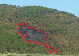 Catasto incendi