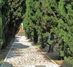 ampliamento cimitero cittadino