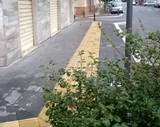 Via Regina Margherita