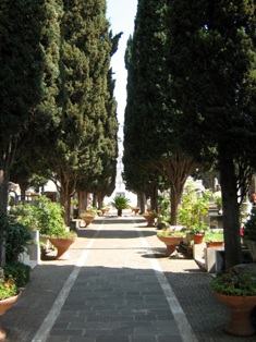 Il cimitero cittadino