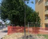 Un particolare del cantiere
