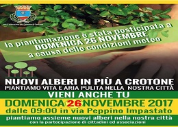 Nuovi alberi in più a Crotone