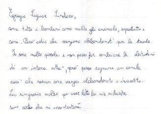 Una lettera di un alunno