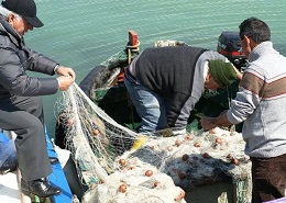 Pescatori al lavoro