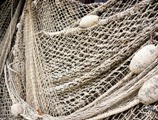 Royalties per la pesca