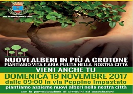 Nuovi alberi in più a Crotone