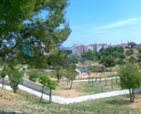 Uno scorcio del parco Pitagora