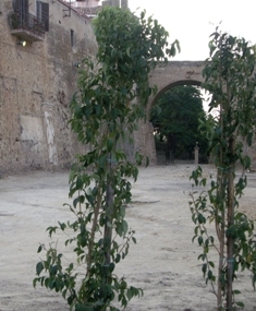 Largo Lavatoio Castello Carlo V