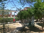 Il giardino della stazione ferroviaria