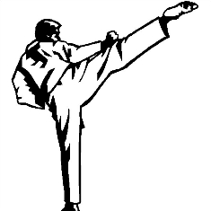 Grandi risultati per il karate crotonese