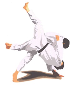 Positivi risultati per lo judo crotonese