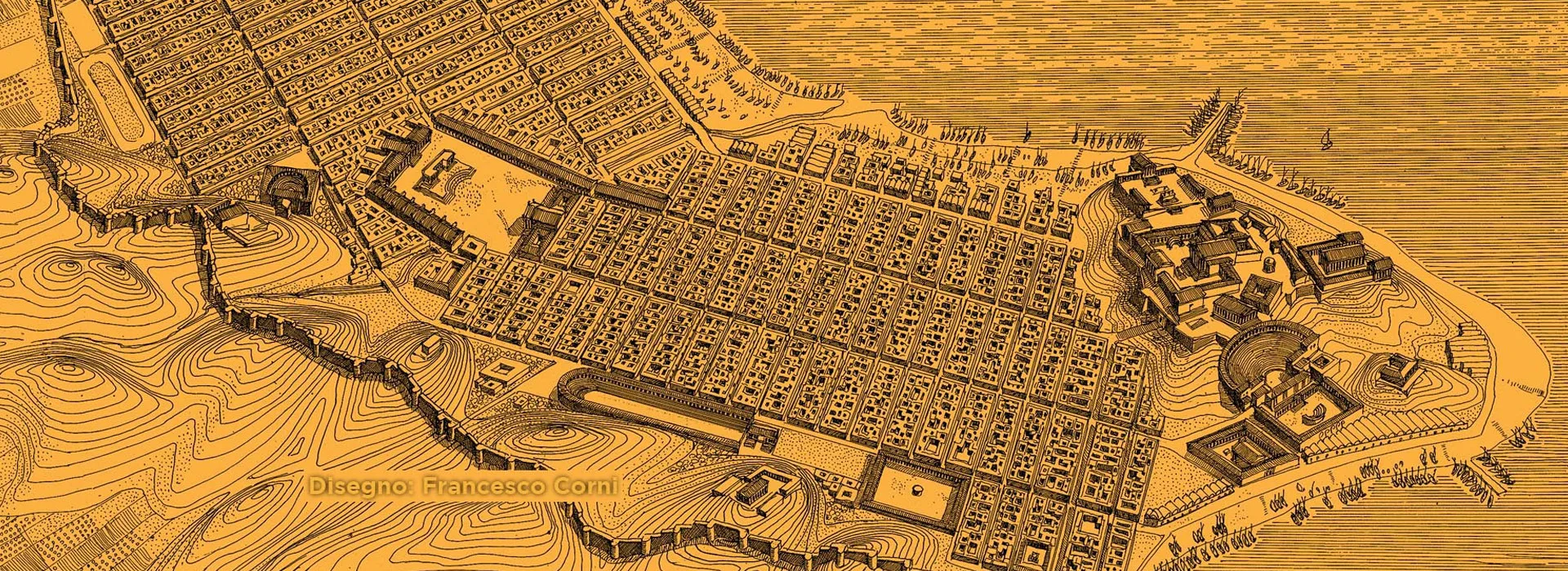 img desktop Antica Kroton Futura